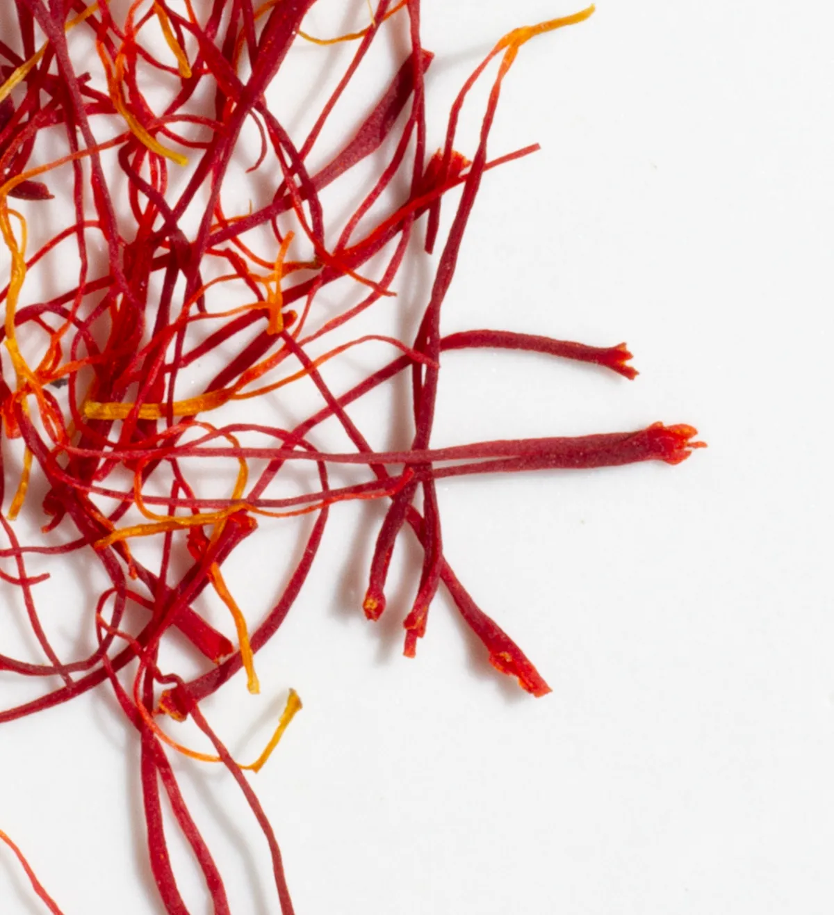 Hand-picked saffron threads